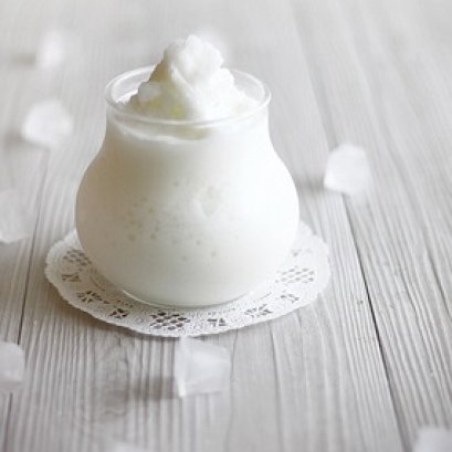 เพรน โยเกิร์ต